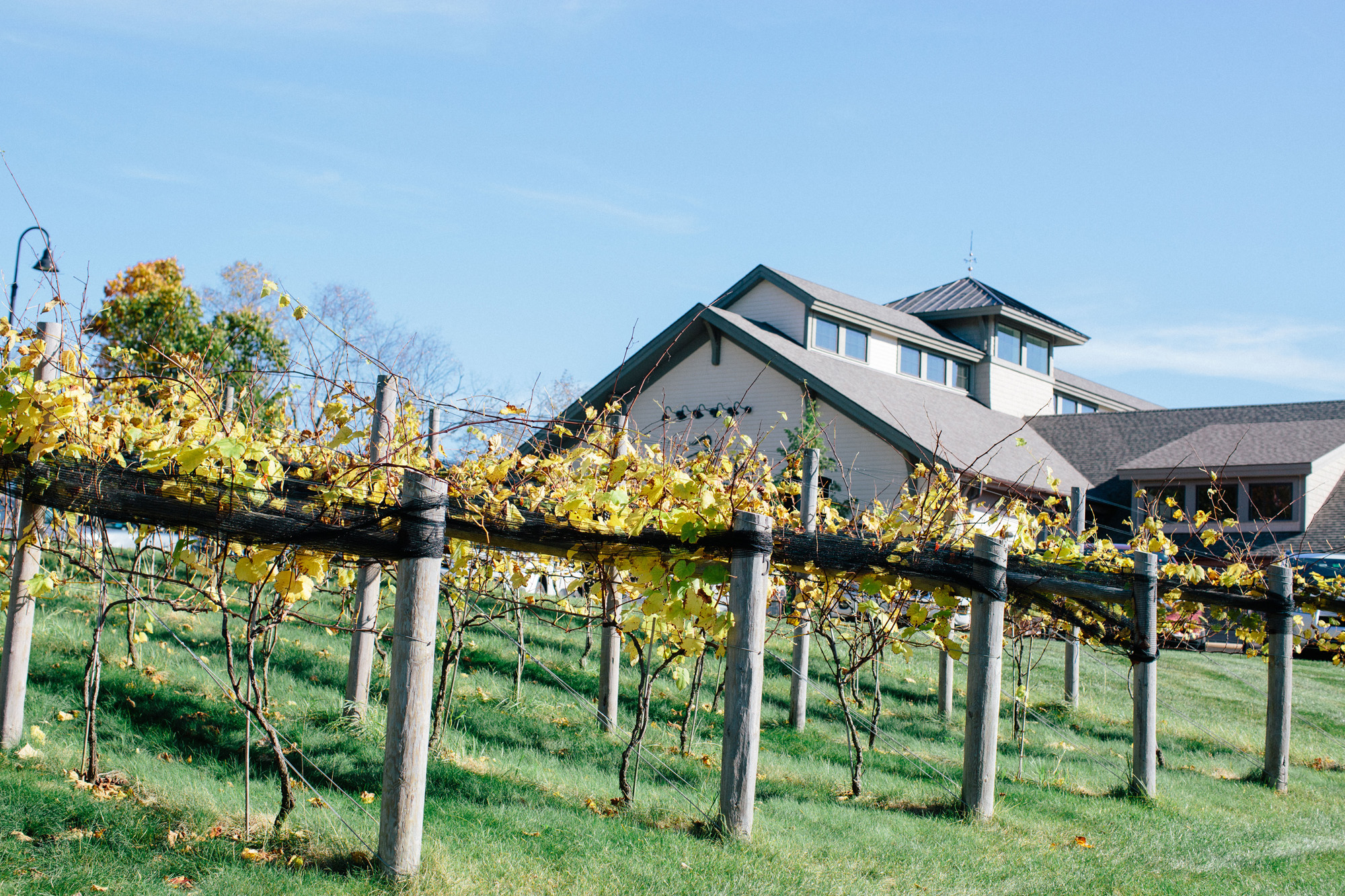 kate_preftakes_photography_NH_Labelle_Winery_wedding0006